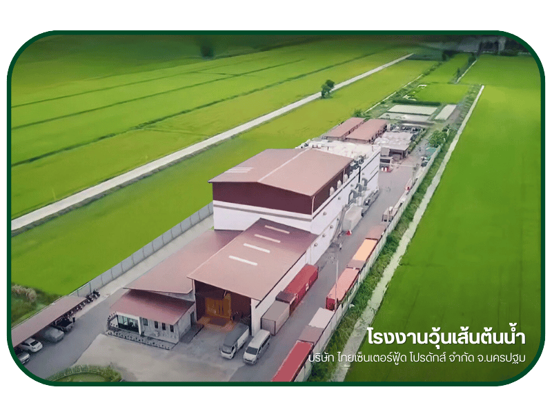 วุ้นเส้นจากถั่วเขียว
